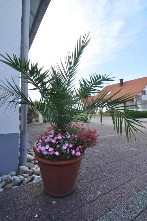 Double Two Lodge Kappel-Grafenhausen Exteriör bild